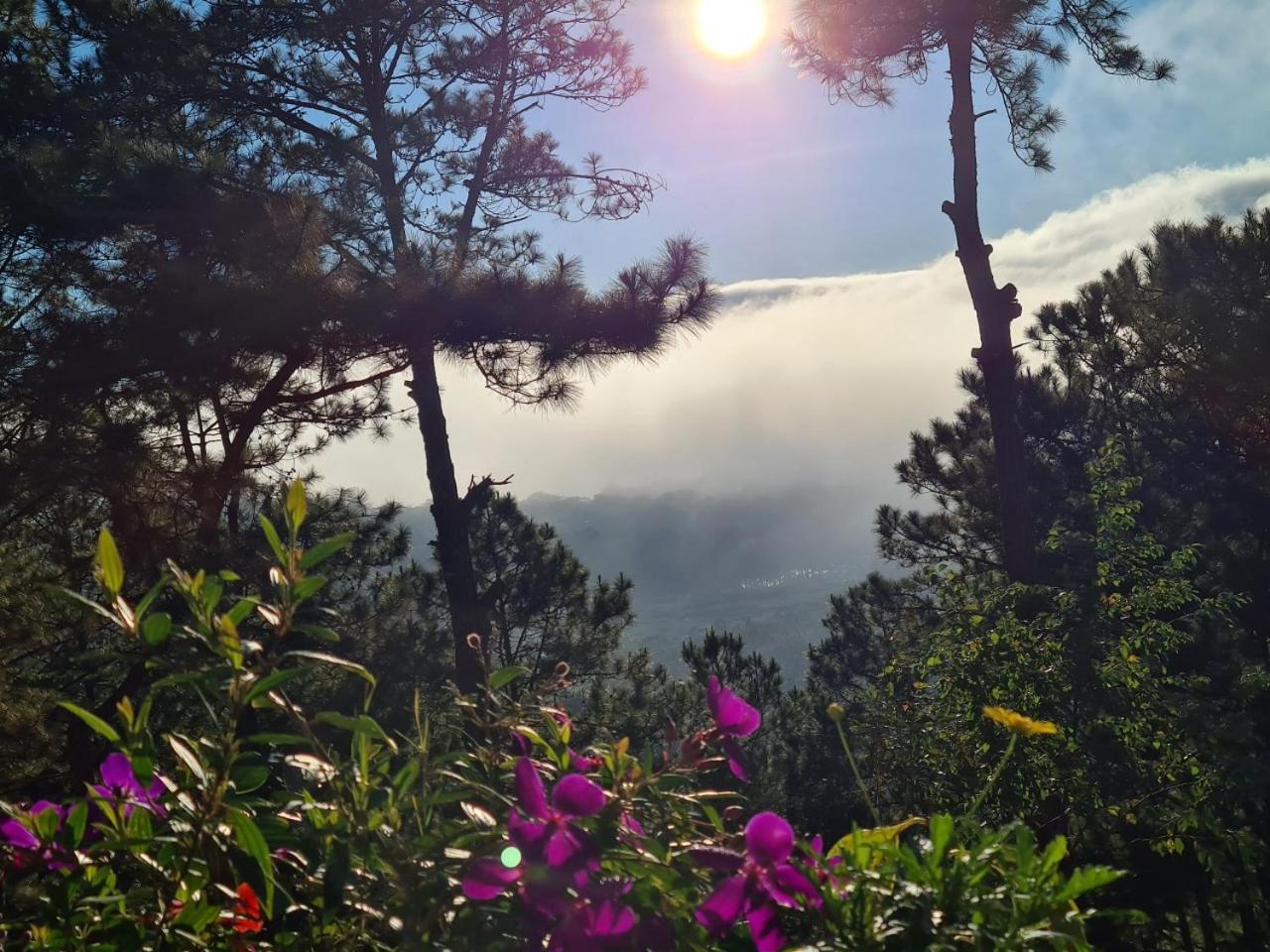 Love Hill Resort Da Lat Buitenkant foto