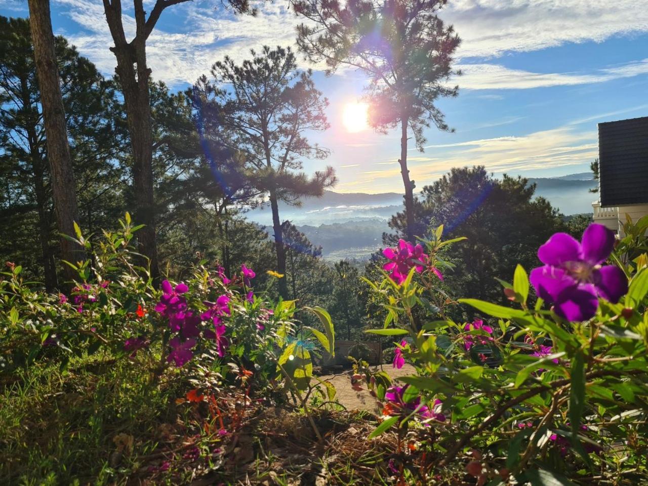 Love Hill Resort Da Lat Buitenkant foto