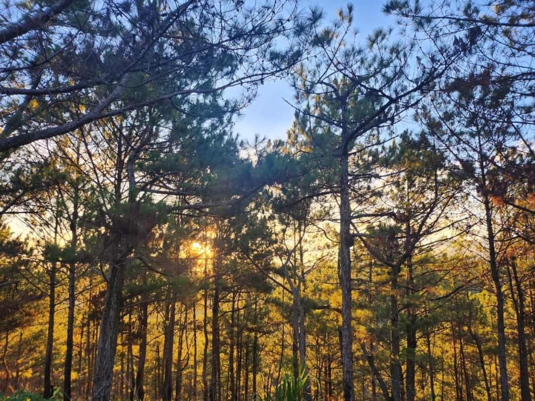 Love Hill Resort Da Lat Buitenkant foto